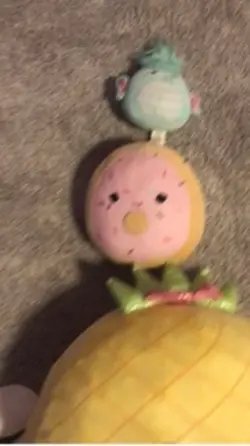 My squishmallows