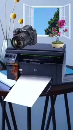 POLAROID