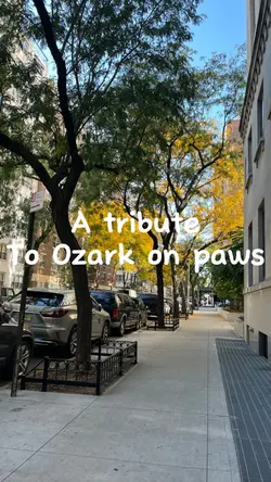 Tribute to Ozark