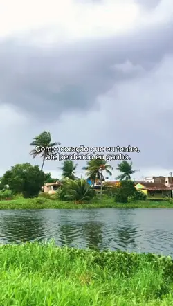 Motivacional 🤍