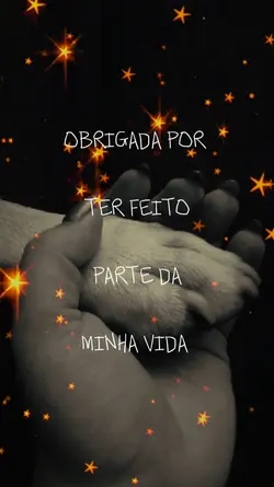 4 patas estrelinha