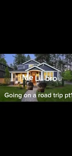 Cat road trip 