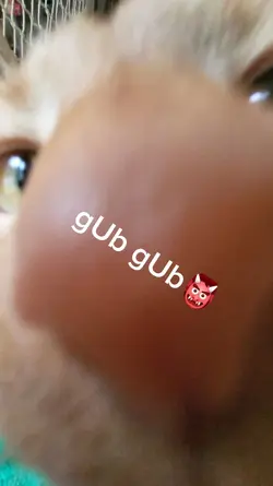 U messed w da gang 