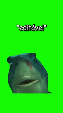 tubarão 