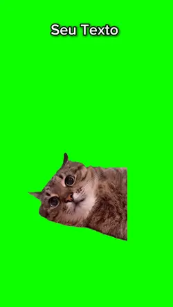 gato pensando 