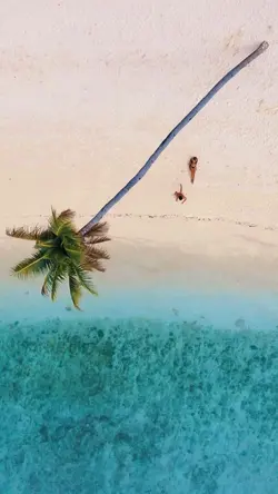 travel video