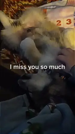 I Miss You So Much
