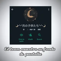 team miltifandom 