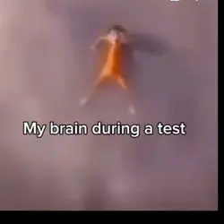 POV my brain in test