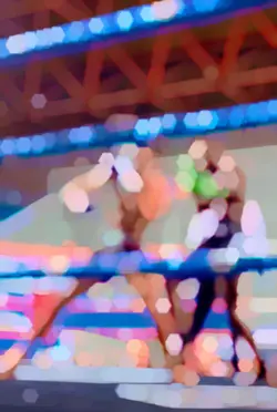 MMA fight nigh