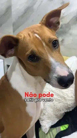 NÃO PODE