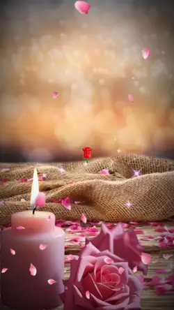 Pink Rose