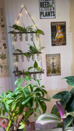 Plant resort