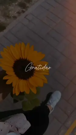 Gratidão