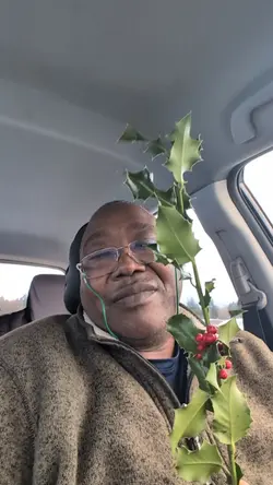festive decor