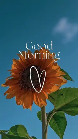 Good Morning 