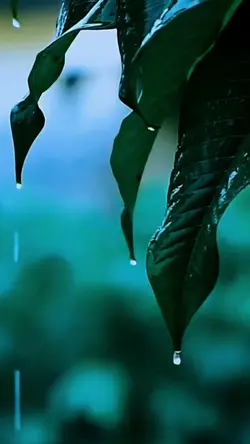 Rain tears falling ❤️
