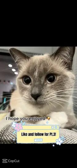 For you guys 💖