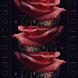 February 14th