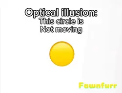 optical illusion