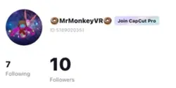 10 FOLLOWER