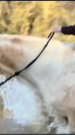 FOR RANCH KIDs EDIT
