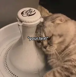 Sad cat