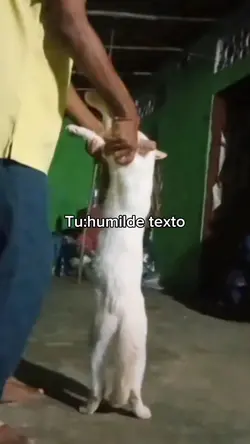 la chona