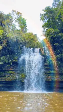 Nature Vibes 