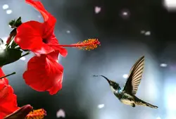 3d photo