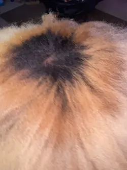 Hair 🔥🔥