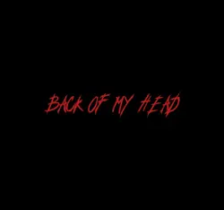 Back of The Head