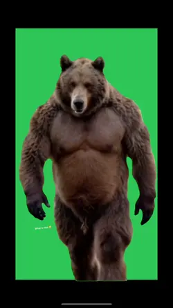 Buff Bear