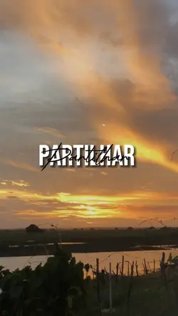 Partilhar 