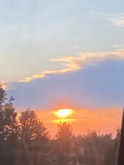 Barn Vlog
