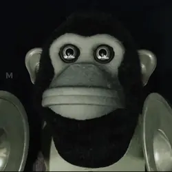 The monkey