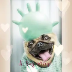 A Pug story 