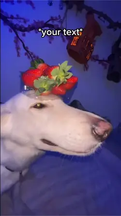 Strawberry’s