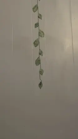 Perfect loop?