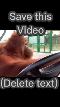 Monke driver
