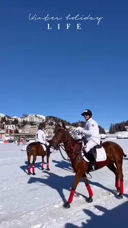 Winter Holiday 