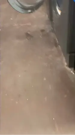 I found some bounce