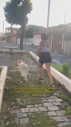 Dog Lover Pet