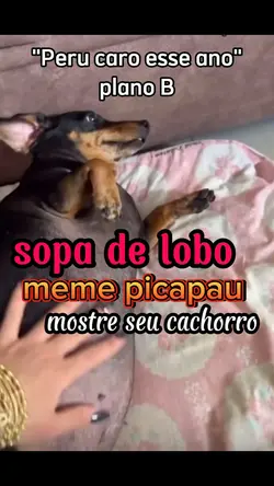 sopa de lobo