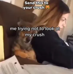 Crush Meme