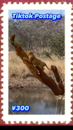 Stamp w/images 1m+