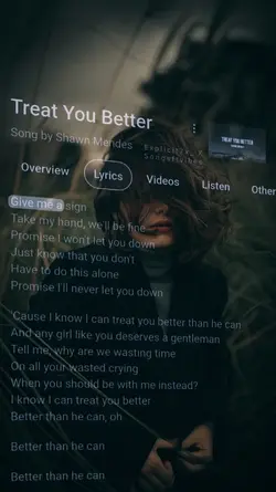 Treat You Better 