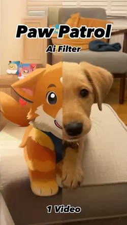 Paw patrol filter