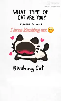 what cat are u?! 