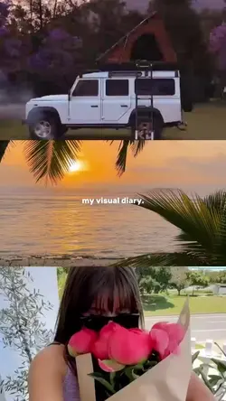  my digital diary 